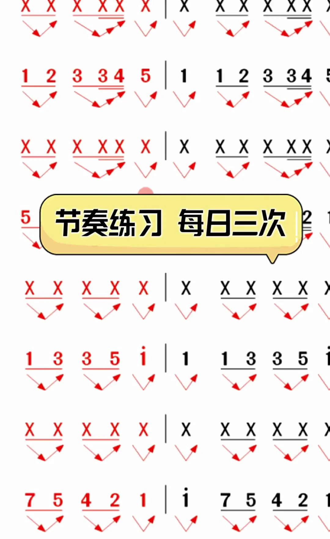 哪里有提供智能篮球训练指导的应用程序_2